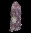 Dark Cactus Quartz (Amethyst) Crystal - South Africa #64233-1